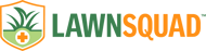 lsq_logo_fullcolor[1].2502201302352